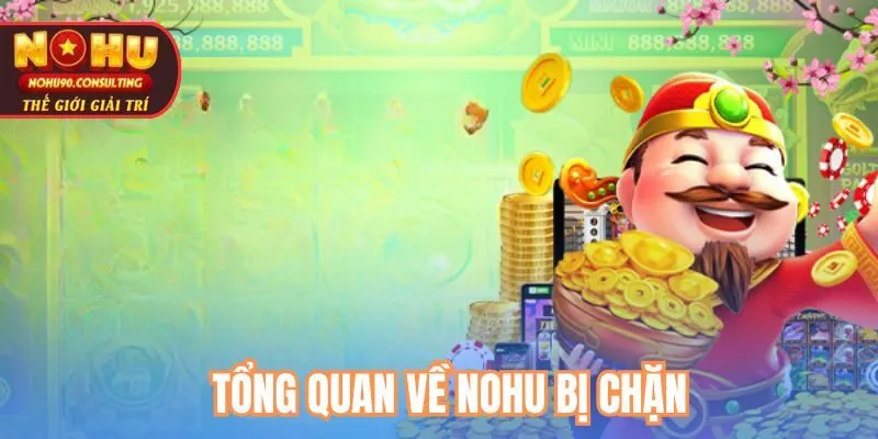 Tổng Quan Về Nohu bị chặn